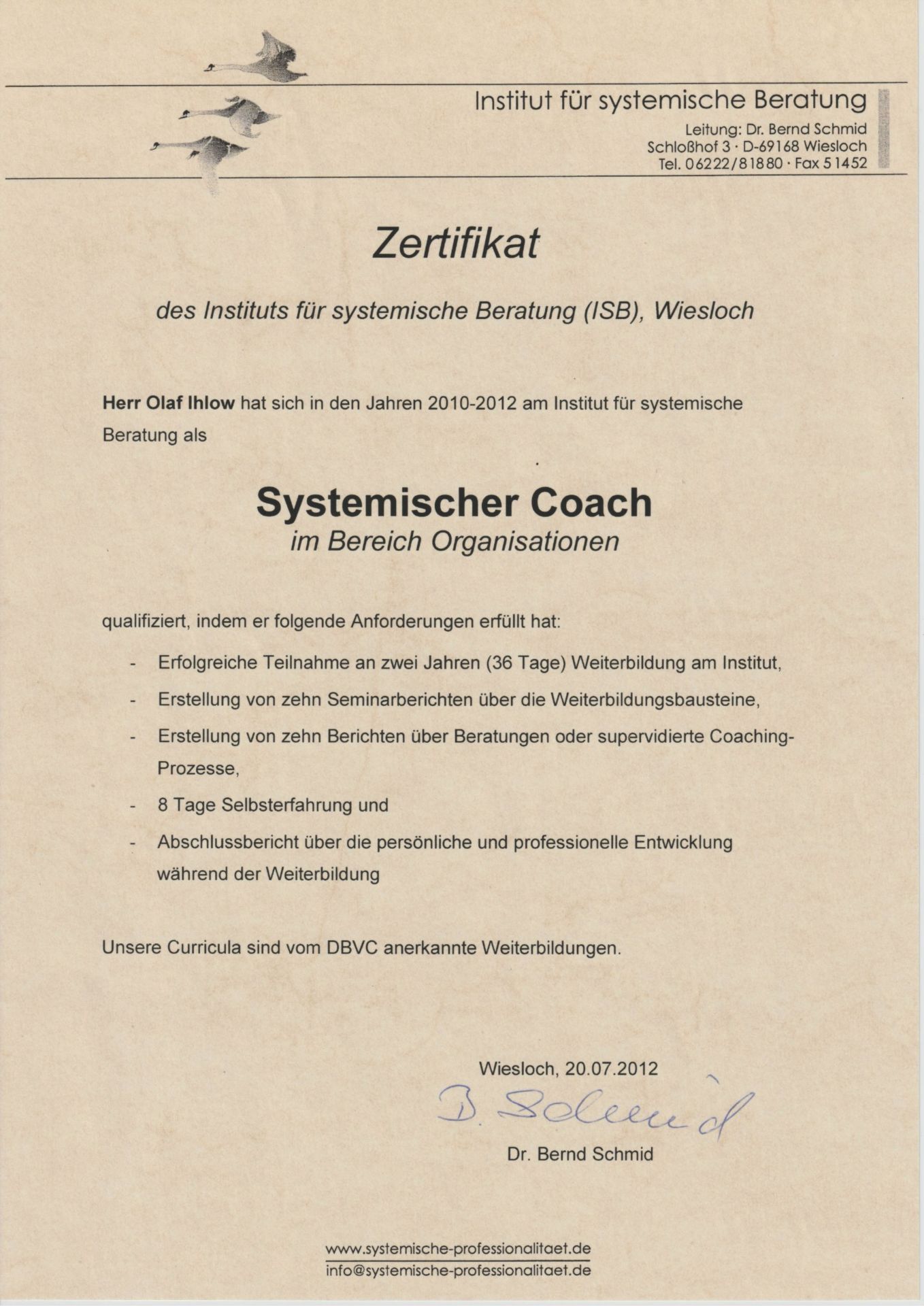 Systemischer Coach Organisationen OI
